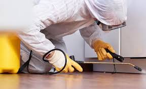 Best Pest Prevention Services  in Cibecue, AZ